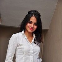 Sheena Shahabadi new pictures | Picture 45558